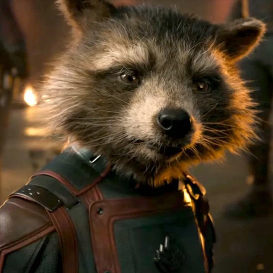 Rocket Raccoon